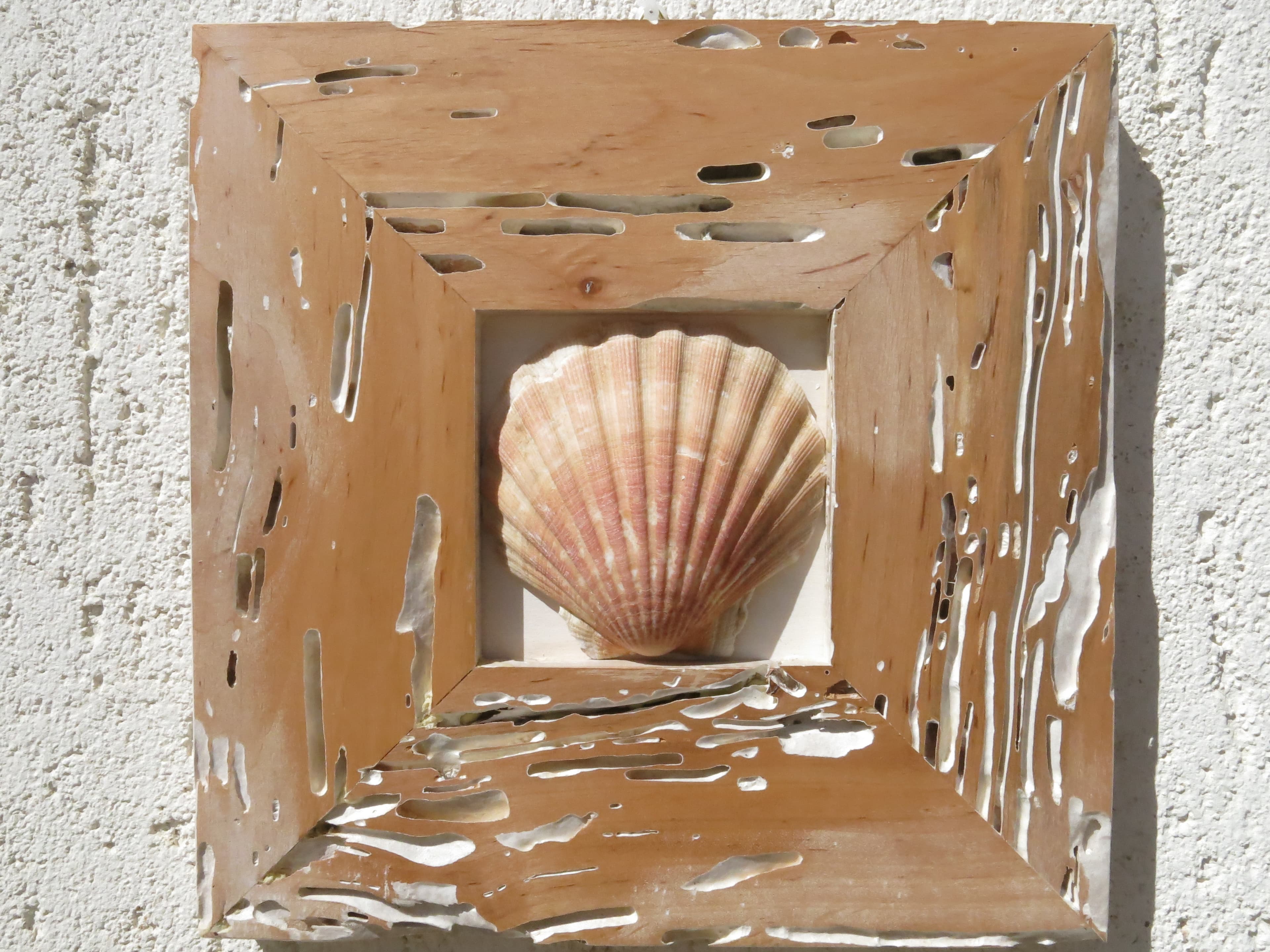 Conchiglie: quadri in legno vecchio e rovere — foto 3 di 7