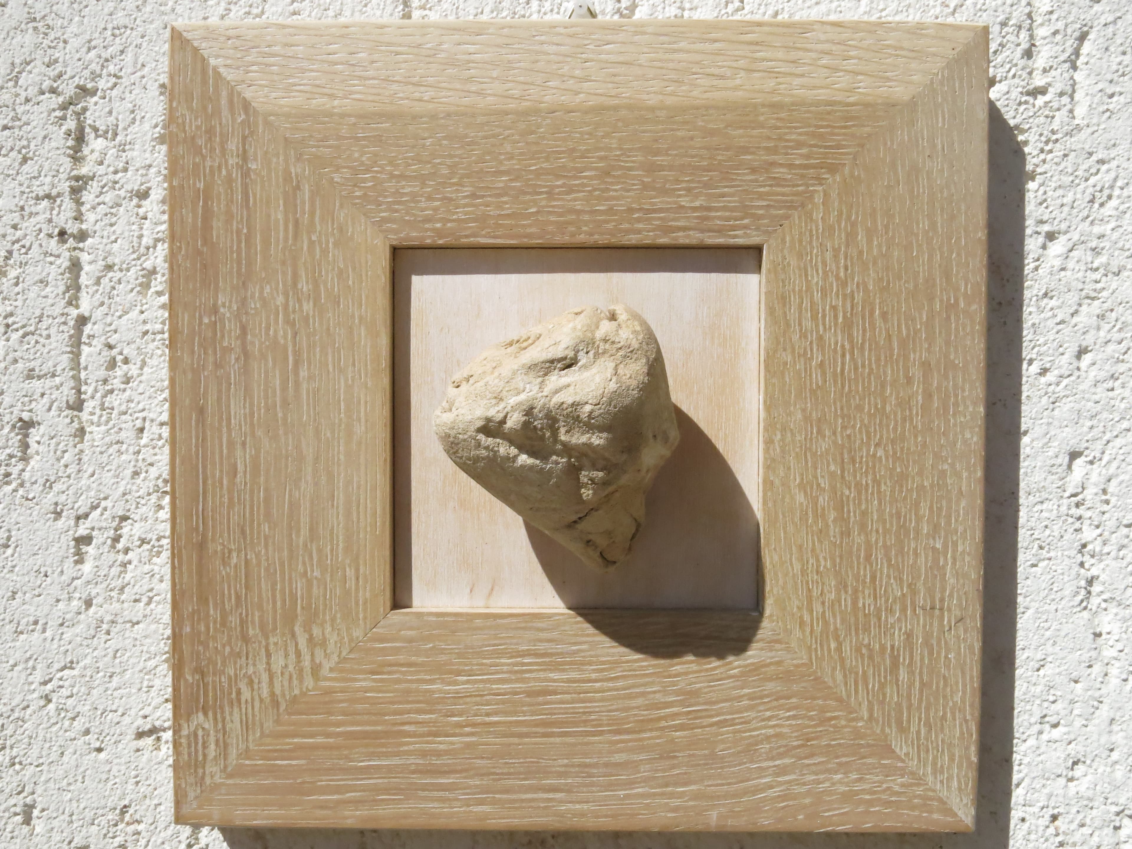 Conchiglie: quadri in legno vecchio e rovere — foto 4 di 7
