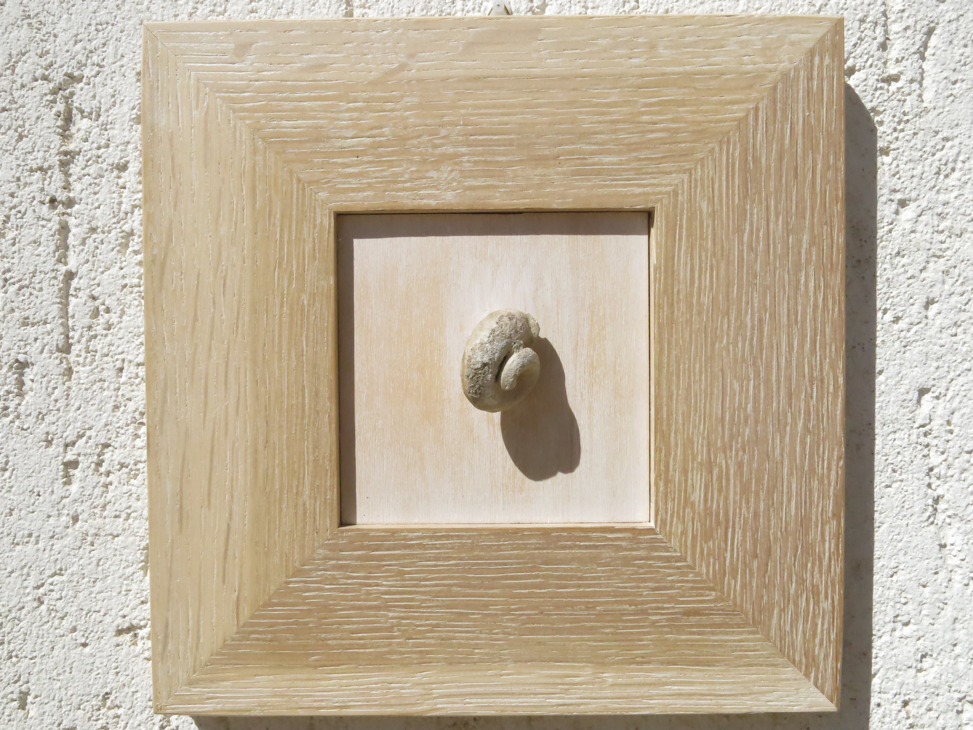 Conchiglie: quadri in legno vecchio e rovere — foto 5 di 7