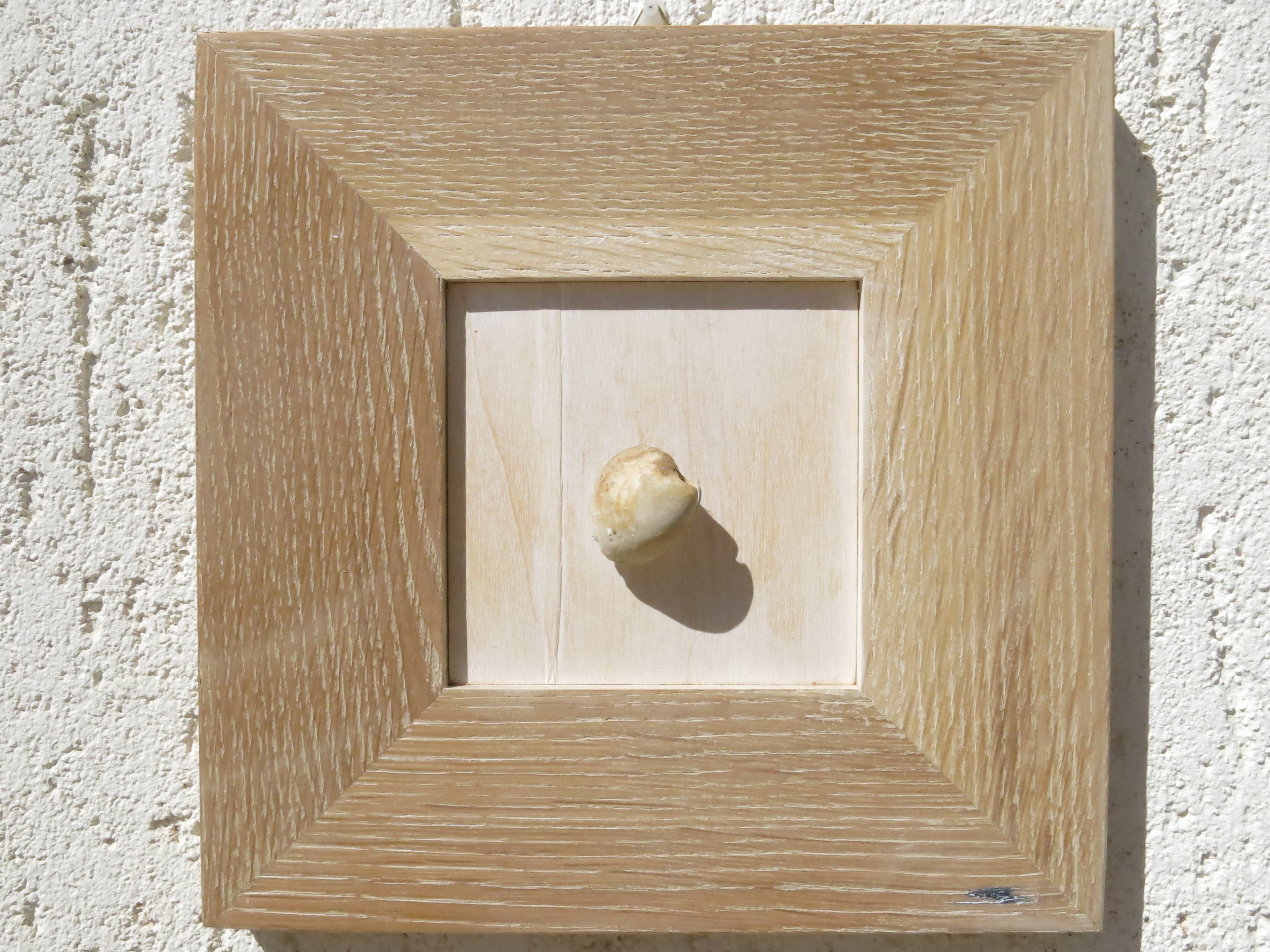 Conchiglie: quadri in legno vecchio e rovere — foto 6 di 7