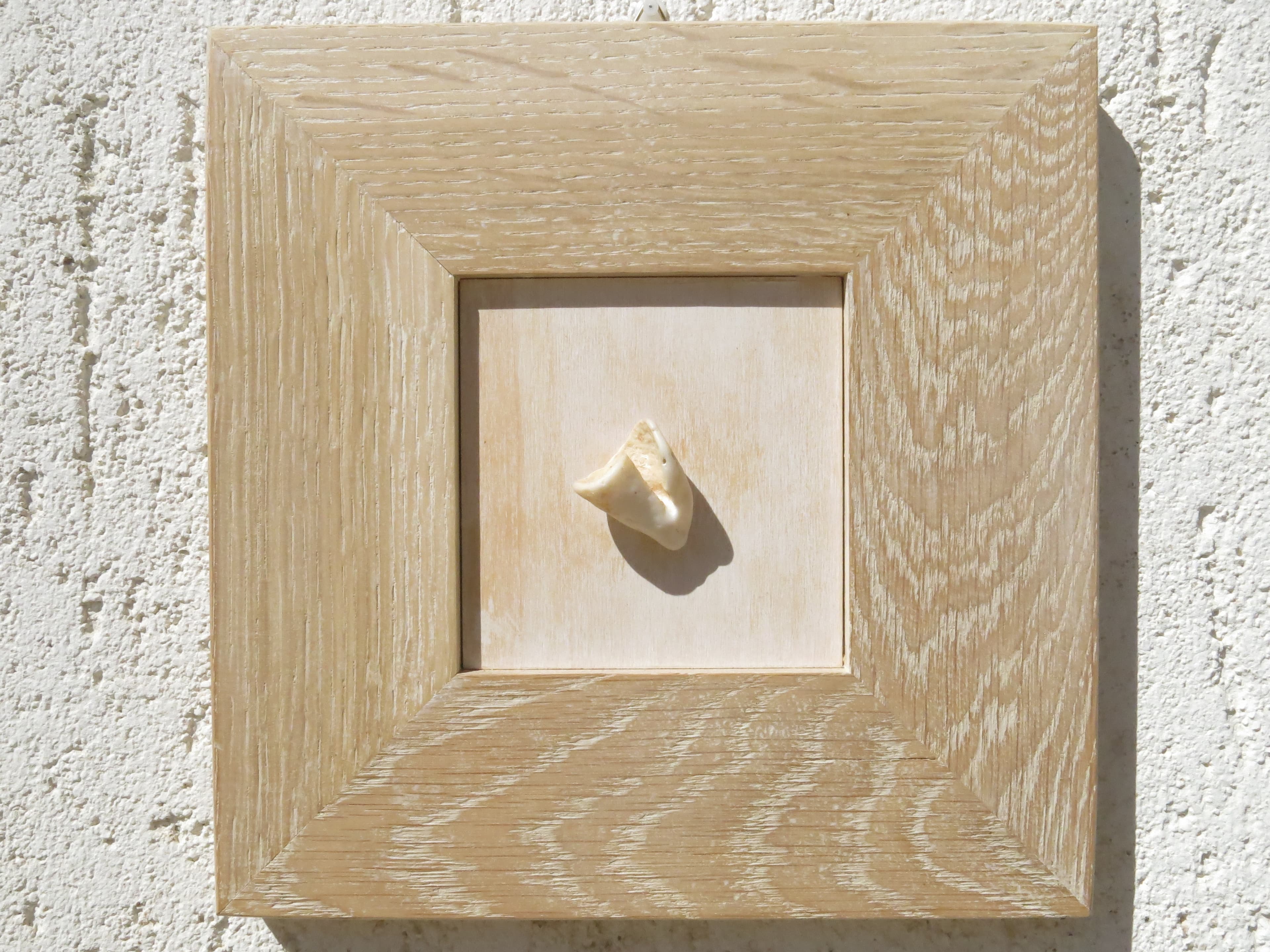 Conchiglie: quadri in legno vecchio e rovere — foto 7 di 7